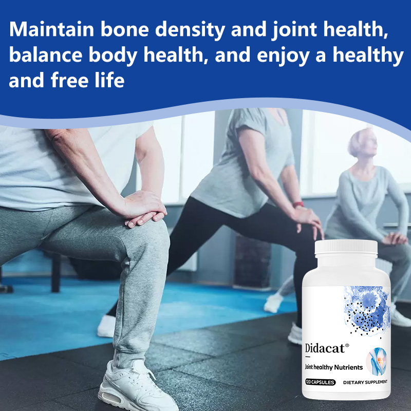 글루코사민 콘드로이틴 MSM과 강황 - 관절 기능 개선 - Glucosamine Chondroitin Joint 리뷰 및 가격