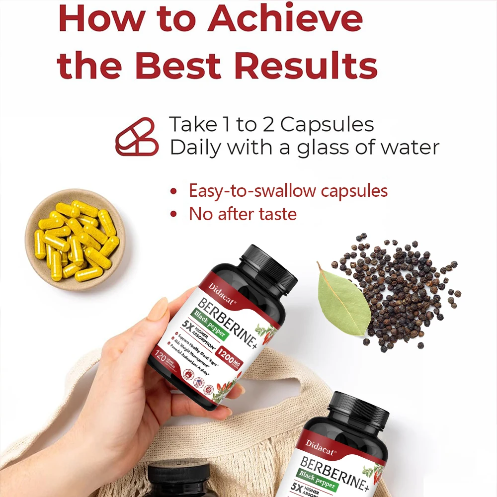 베르베린 염산염 보충제 - 대사 및 콜레스테롤, 체중  - Berberine Hcl Capsule 리뷰 및 가격