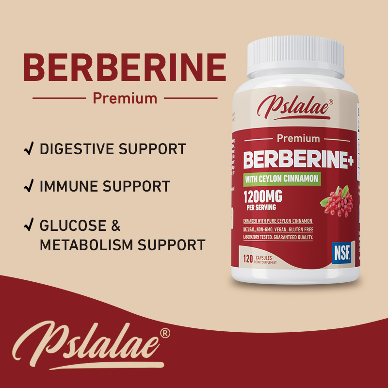 베르베린 - 항산화제, 세포 에너지를 지원하고, 뇌,  - Berberine Hcl Capsule 리뷰 및 가격
