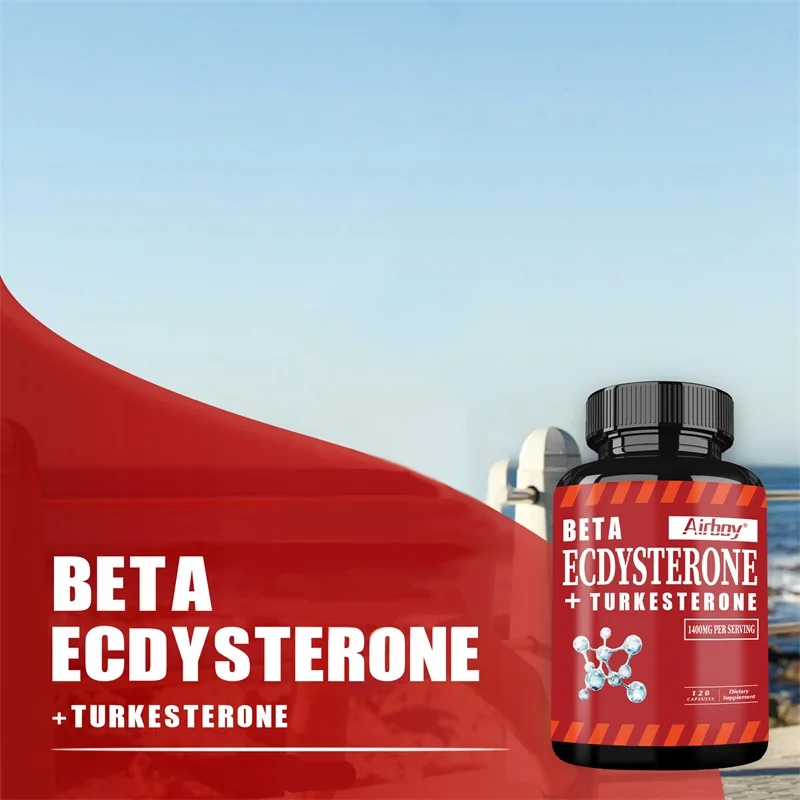 베타 엑디스테론 및 터케스테론 보충제 - 근육량 증가, - Pre Workout Supplement 리뷰 및 가격