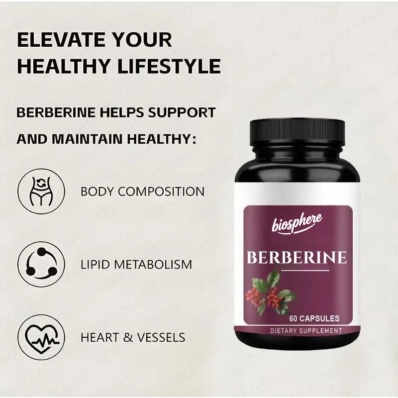 베르베린 보충제-60 채식 캡슐 |   97% 순수 아 - Berberine Hcl Capsule 리뷰 및 가격